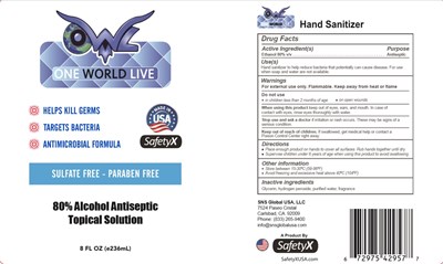 236 mL Owl (Hand Sanitizer Owl)